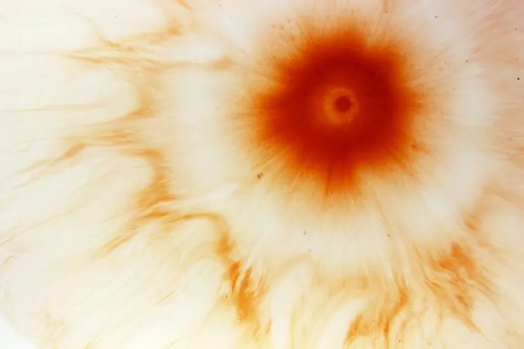 May recap of the major benefits changes and Coronavirus